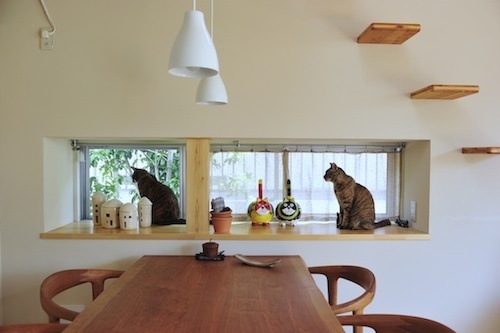 500出窓猫.jpg